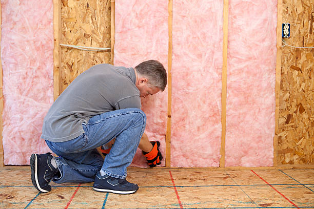 Best Commercial Insulation Services  in Sansom Park, TX